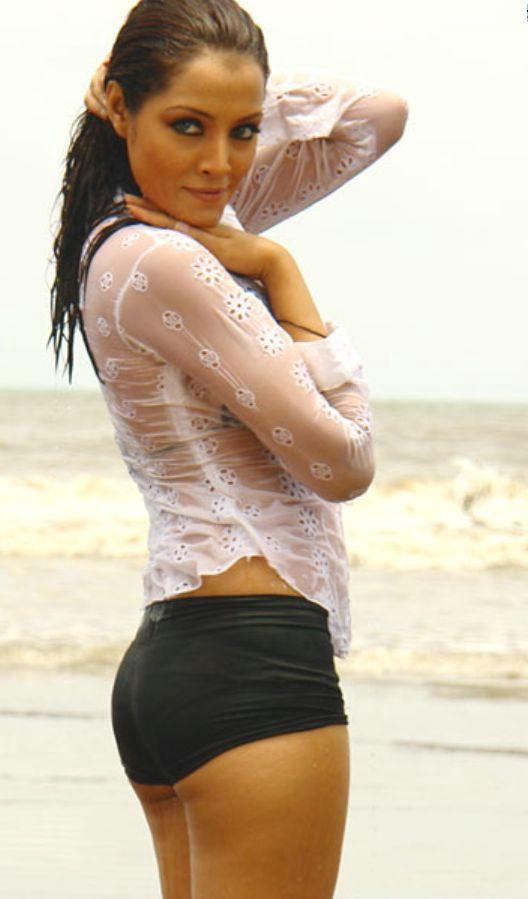 is celina jaitely of bollywood gay feminin models shemale